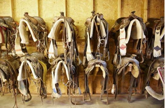 Rancho De Los Caballeros 위큰버그 외부 사진