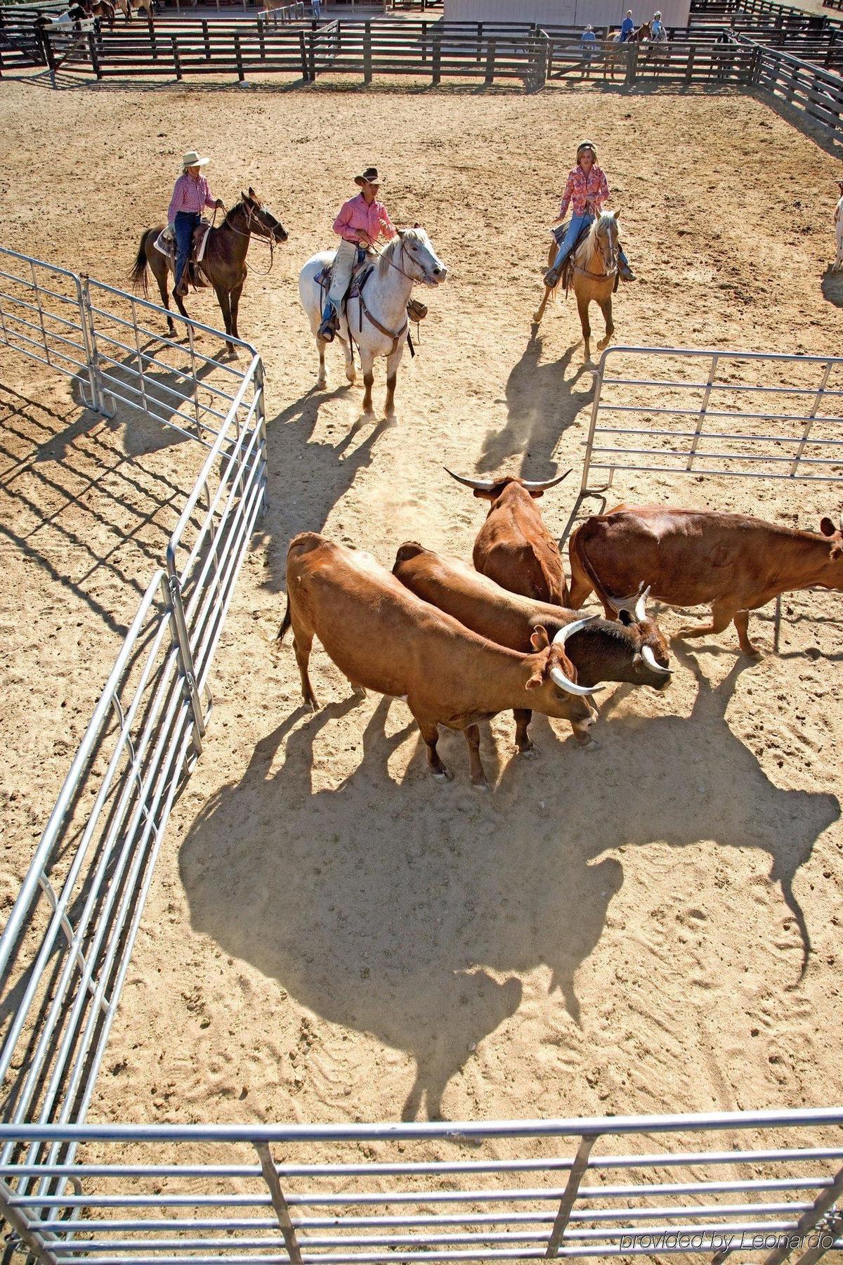 Rancho De Los Caballeros 위큰버그 외부 사진
