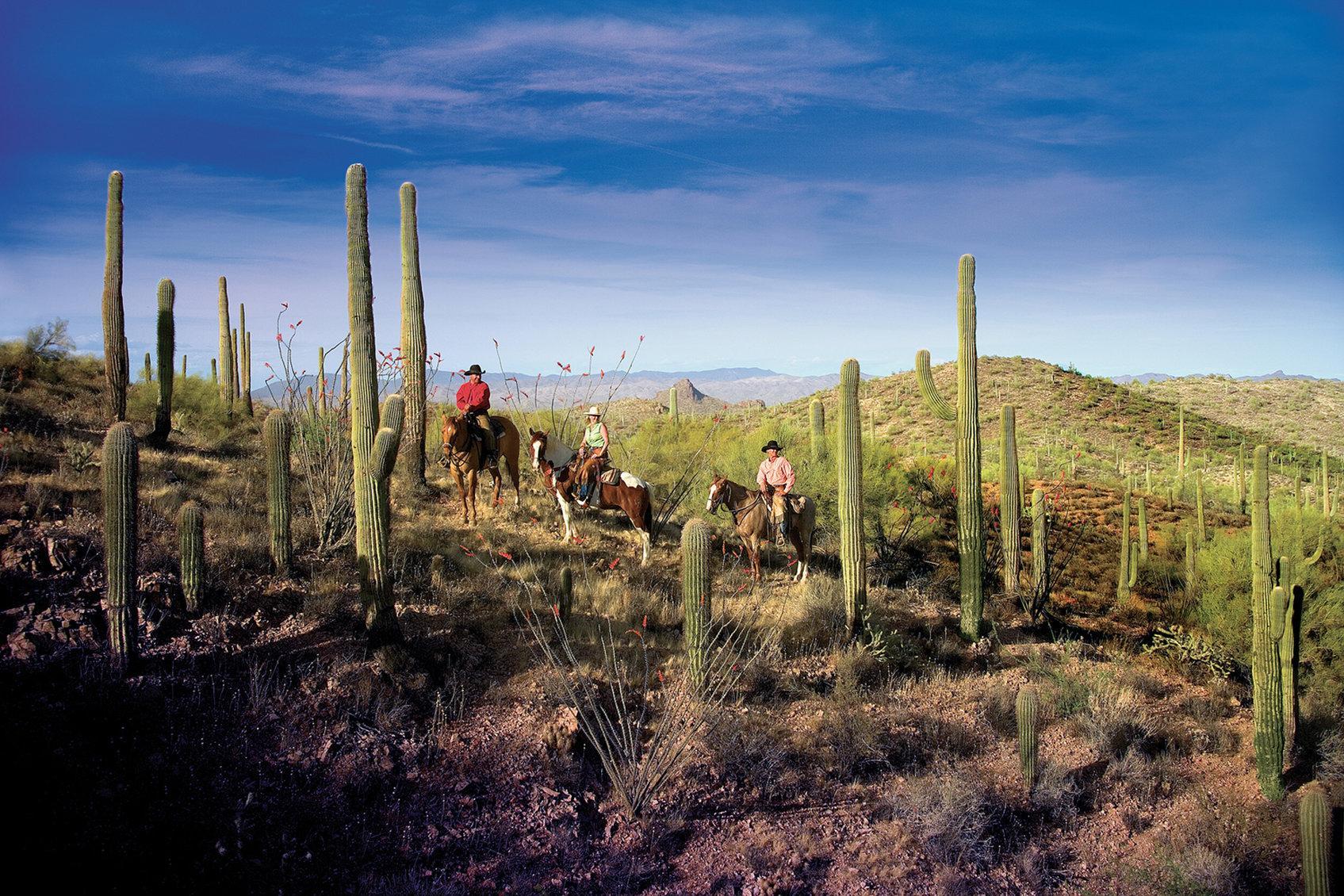 Rancho De Los Caballeros 위큰버그 외부 사진